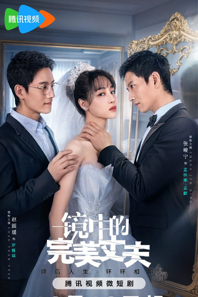 The Perfect Husband in the Mirror (2023) 