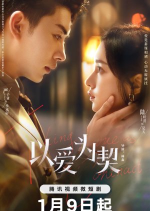 Taking Love as a Contract (2024) 